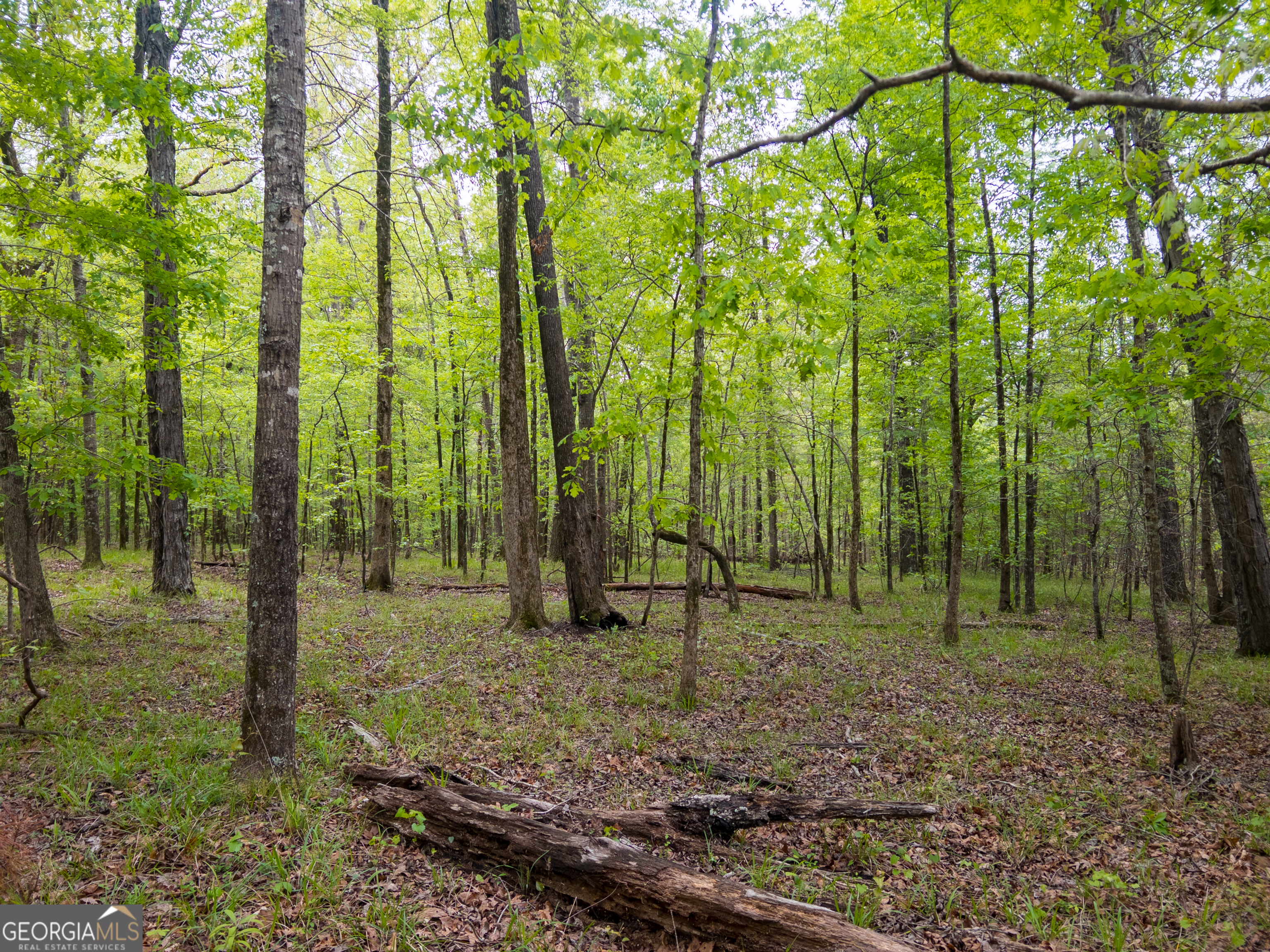 V/l Georgia Kaolin Road Dry Branch, GA 31020 - Photo 24 of 24