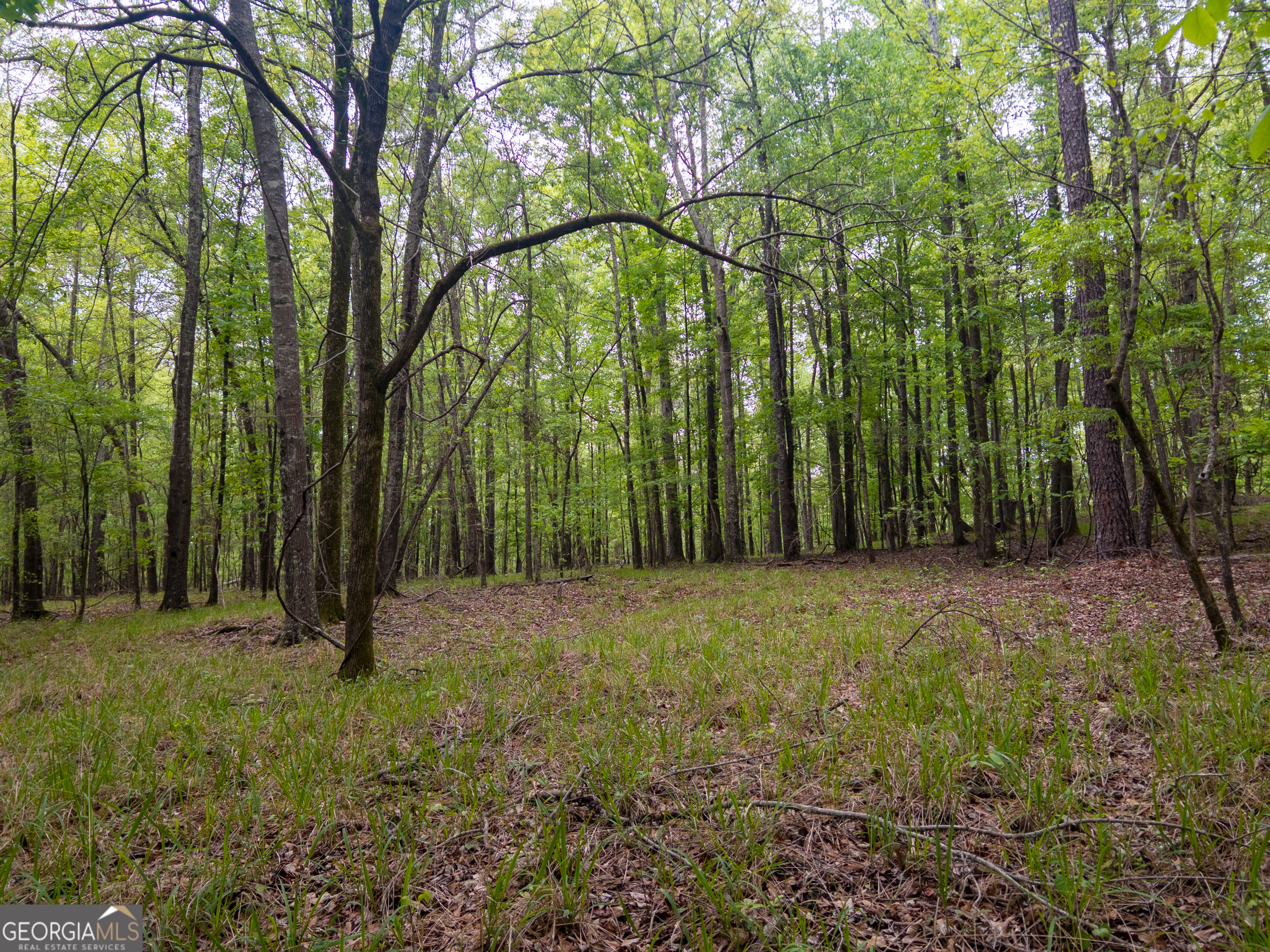 V/l Georgia Kaolin Road Dry Branch, GA 31020 - Photo 3 of 24