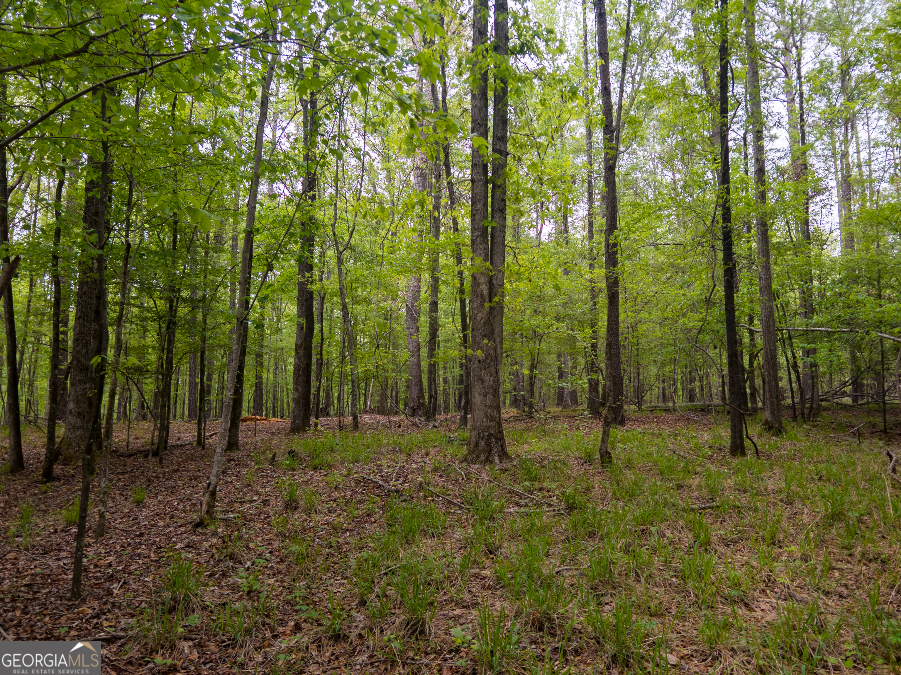 V/l Georgia Kaolin Road Dry Branch, GA 31020 - Photo 5 of 24