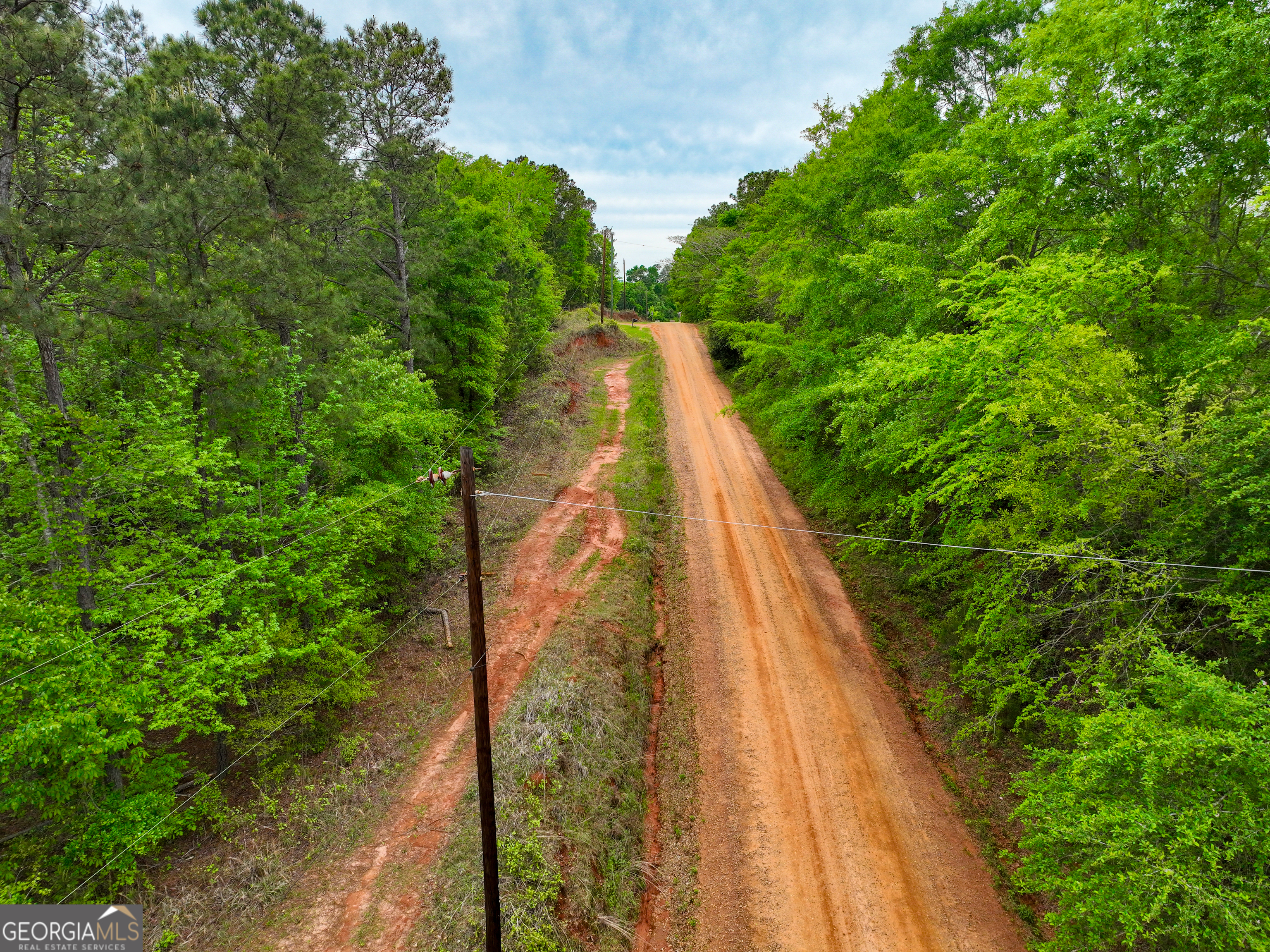 V/l Georgia Kaolin Road Dry Branch, GA 31020 - Photo 7 of 24