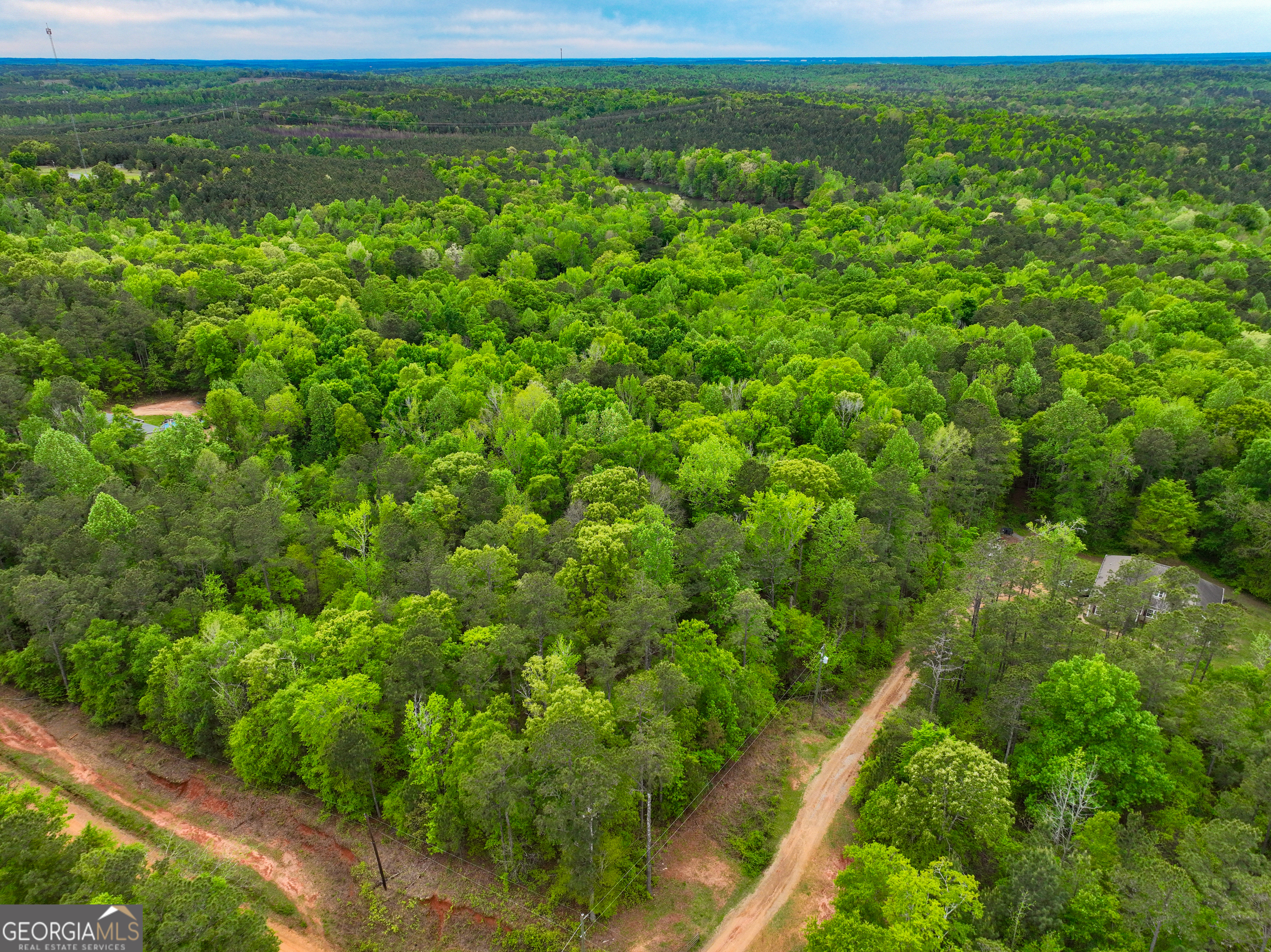 V/l Georgia Kaolin Road Dry Branch, GA 31020 - Photo 8 of 24