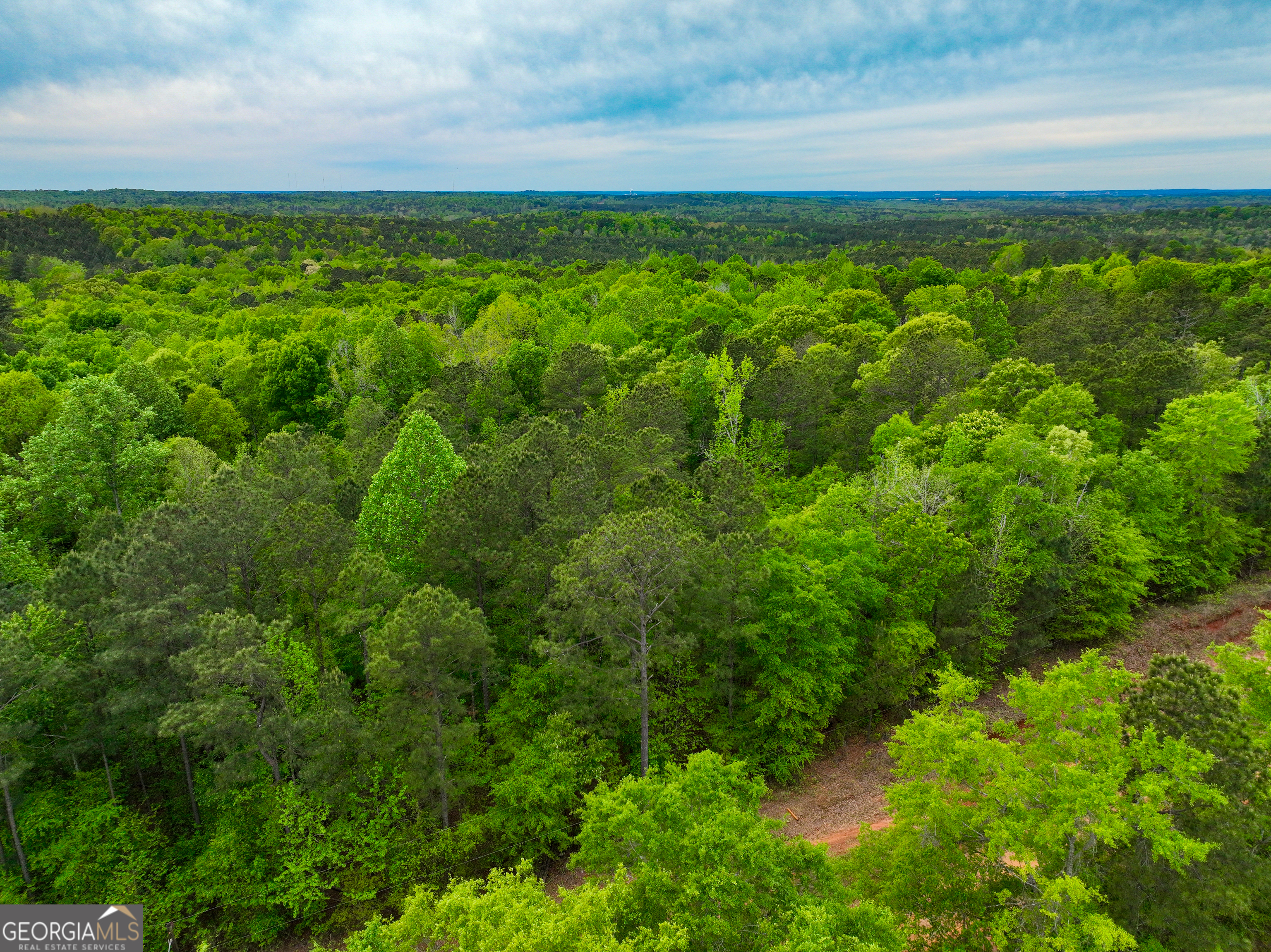 V/l Georgia Kaolin Road Dry Branch, GA 31020 - Photo 9 of 24
