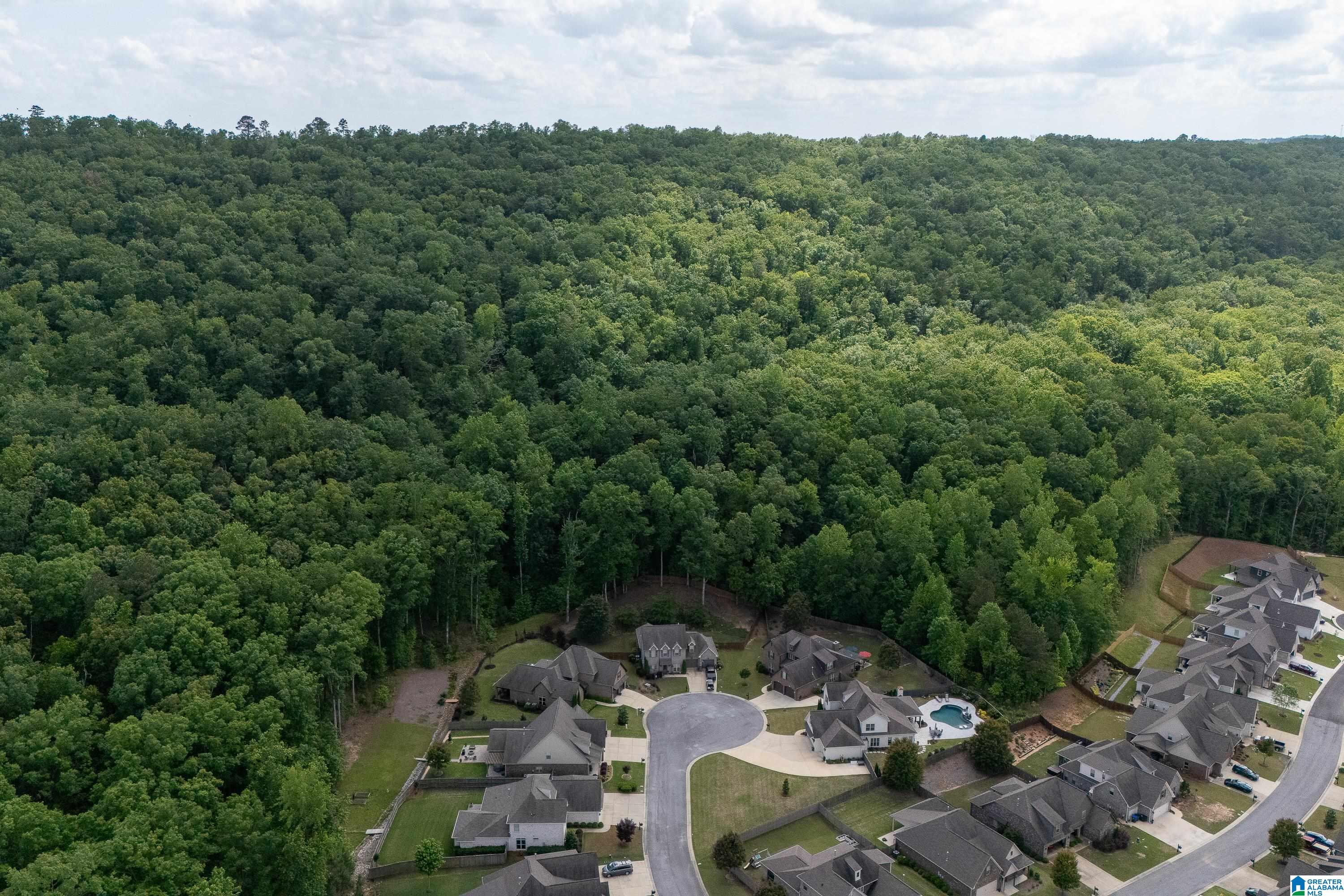 533 Kirkwall Circle Pelham, AL 35124 - Photo 55 of 59