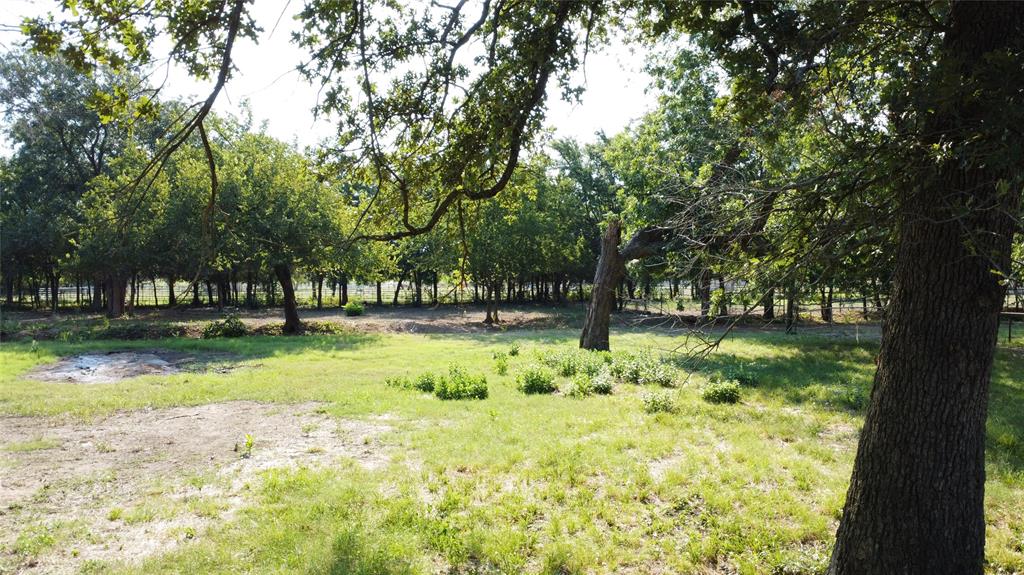 2815 Farm To Market Road 3092 Gainesville, TX 76240 - Photo 28 of 28 a view of yard with green space