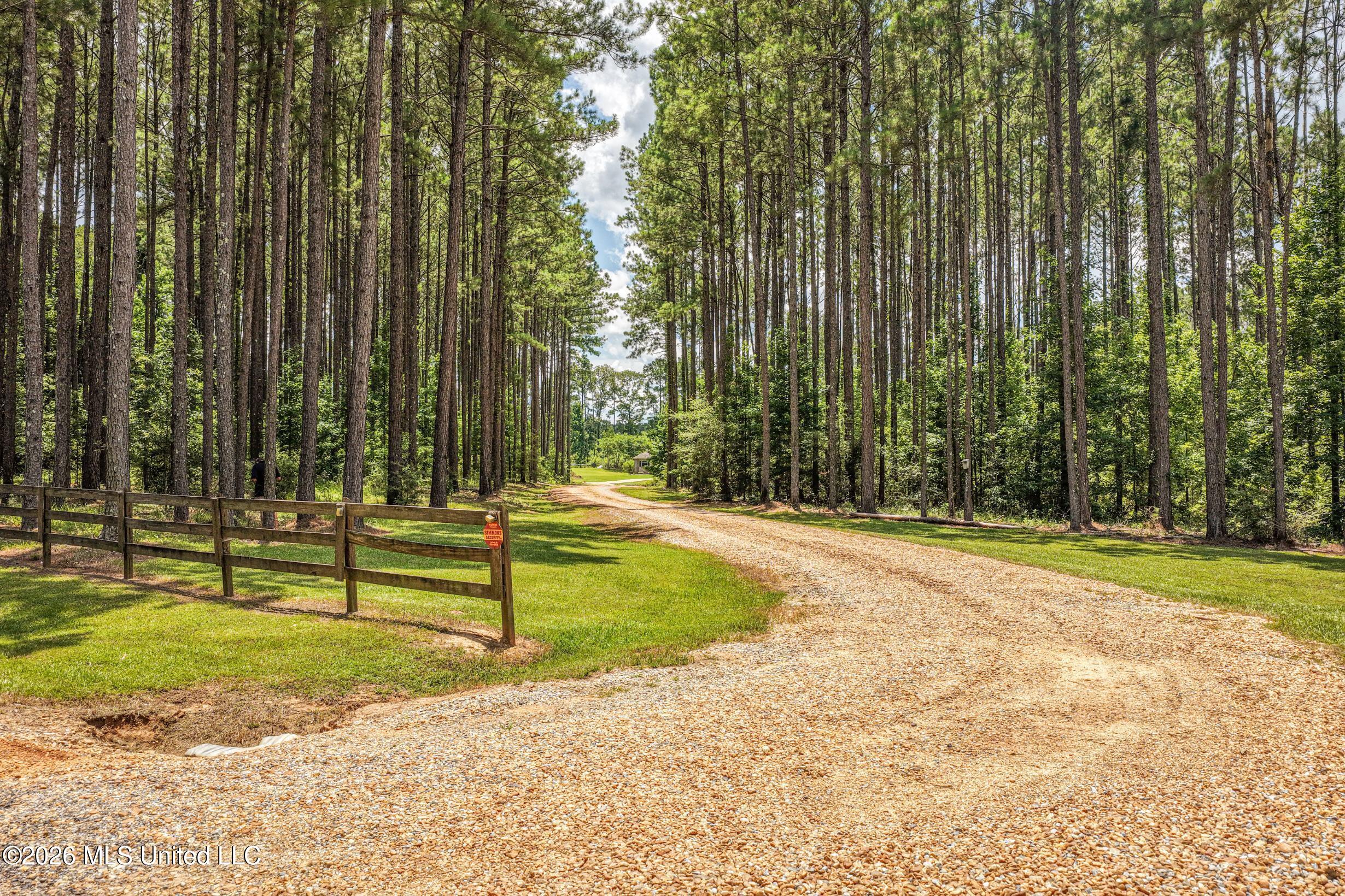 6929 Moak Road Summit, MS 39666 - Photo 2 of 52 DJI_20260708131456_0191_D
