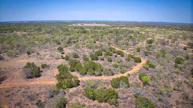 a view of a city with lush green forest