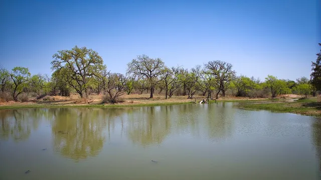 a view of a lake with houses in background
