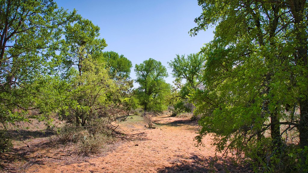 10900 Blackjack Road Brady, TX 76825 - Photo 6 of 38 Gallery Image 6