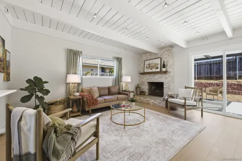 a living room with furniture potted plant and a fireplace