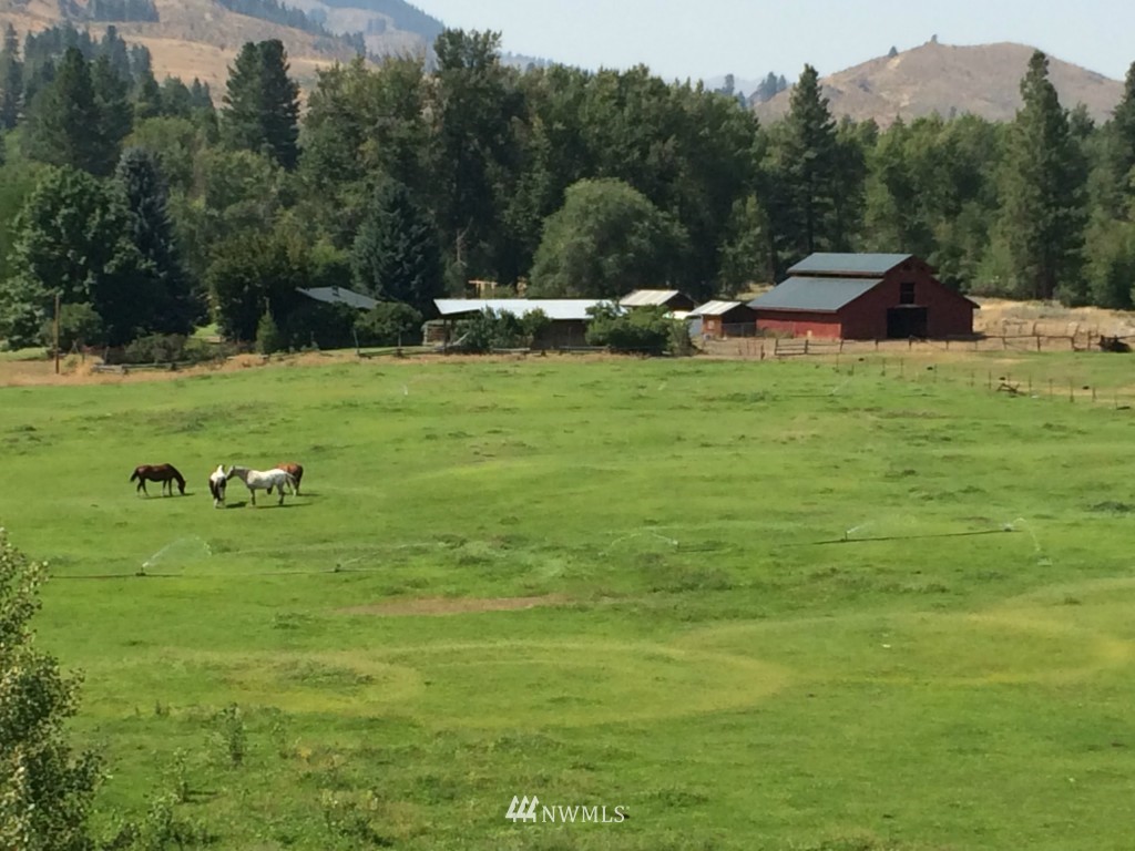 664 Twisp Carlton Road Twisp, WA 98856 - Photo 1 of 24