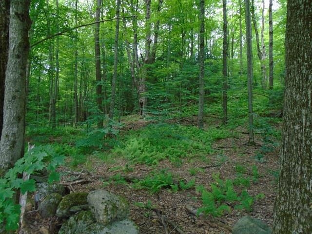 309 High Meadow Road Fletcher, VT 05448 - Photo 18 of 21