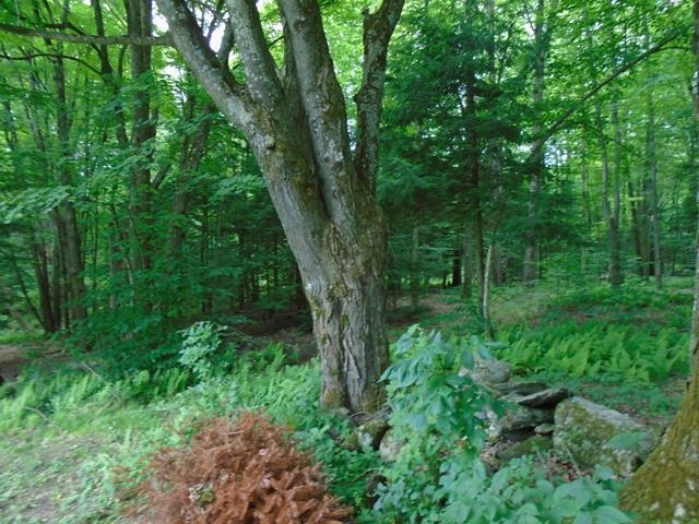 309 High Meadow Road Fletcher, VT 05448 - Photo 19 of 21