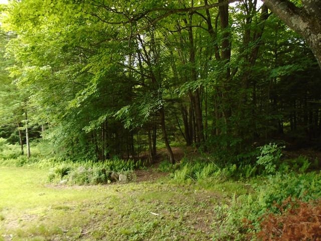 309 High Meadow Road Fletcher, VT 05448 - Photo 20 of 21