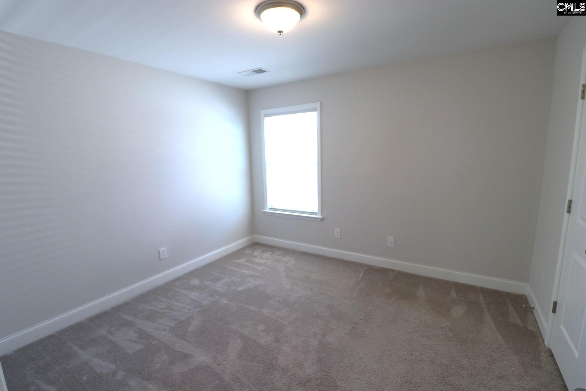 432 Thayer Street Chapin, SC 29036 - Photo 48 of 68