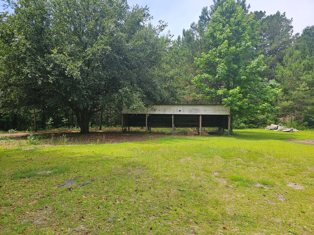 14196 Raccoon Road Manning, SC 29102 - Photo 14 of 39 Gallery Image 14