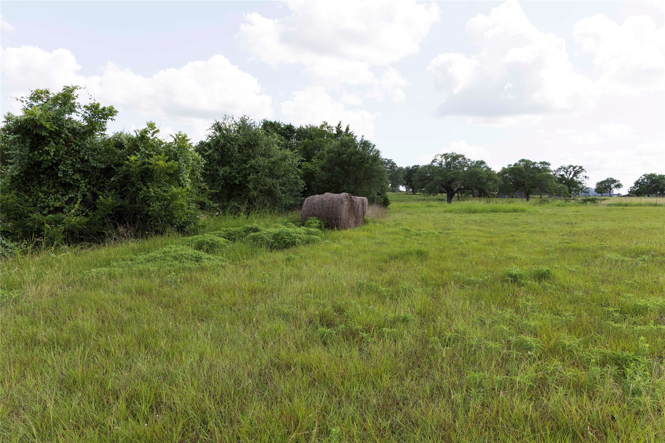 0 Hranicky Road Schulenburg, TX 78956 - Photo 19 of 19 a view of a field of grass and trees