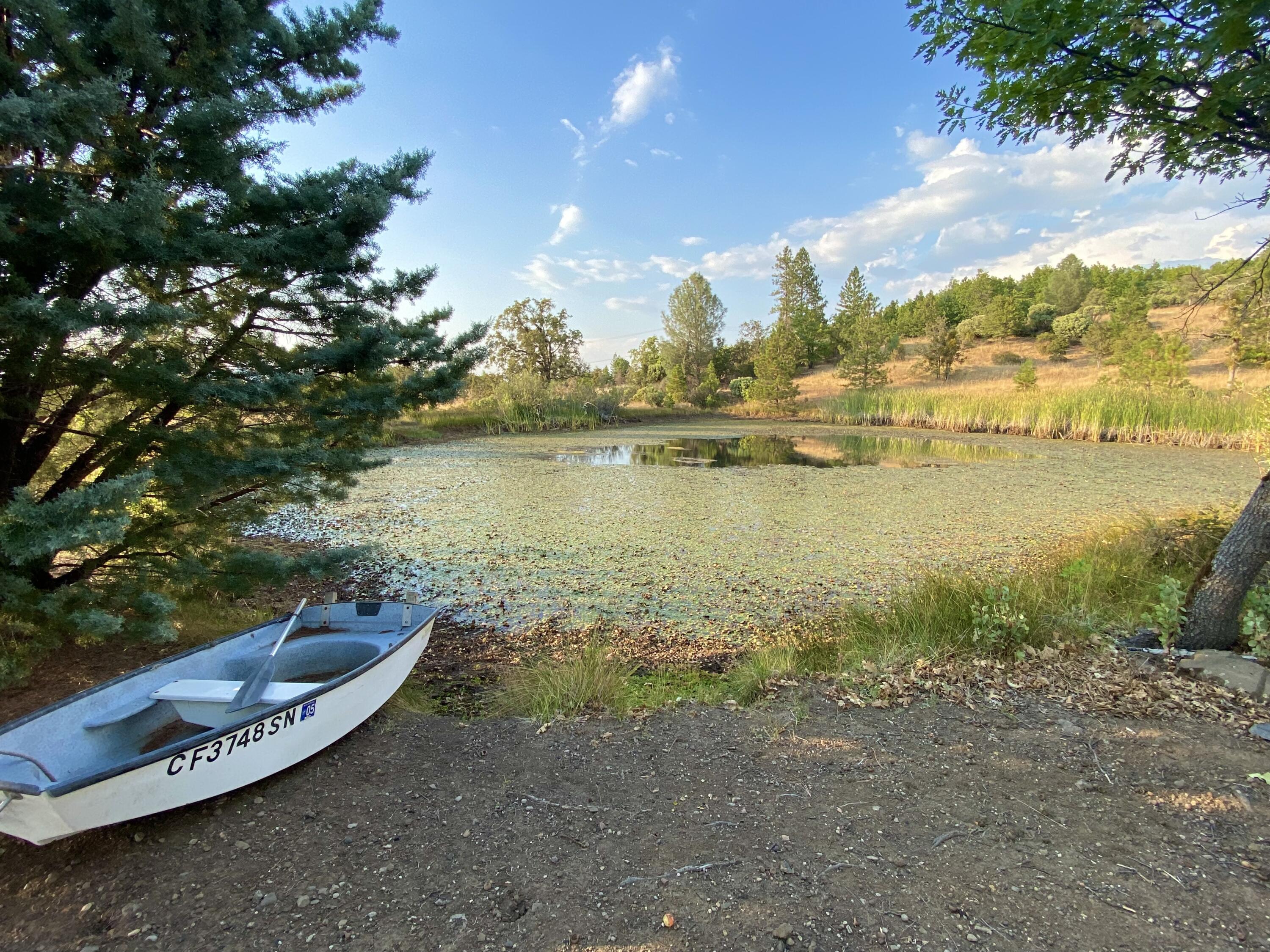 30503 Terry Mill Road Montgomery Creek, CA 96065 - Photo 2 of 75 a view of a lake with an outdoor space