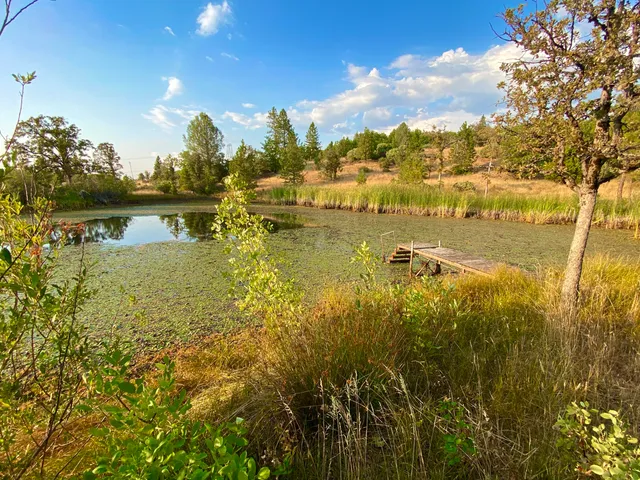 a view of a lake with houses in the back