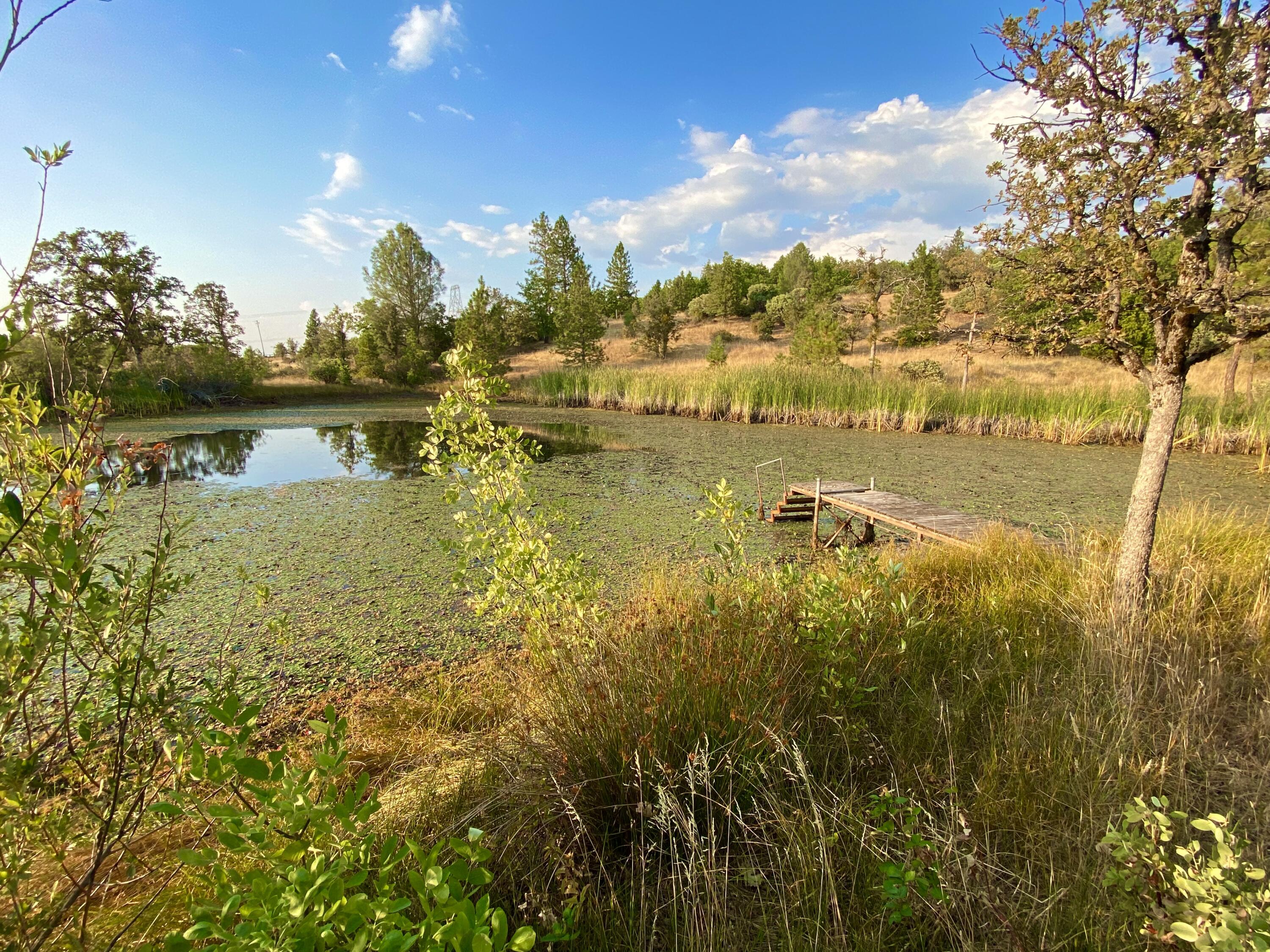 30503 Terry Mill Road Montgomery Creek, CA 96065 - Photo 3 of 75 a view of a lake with houses in the back