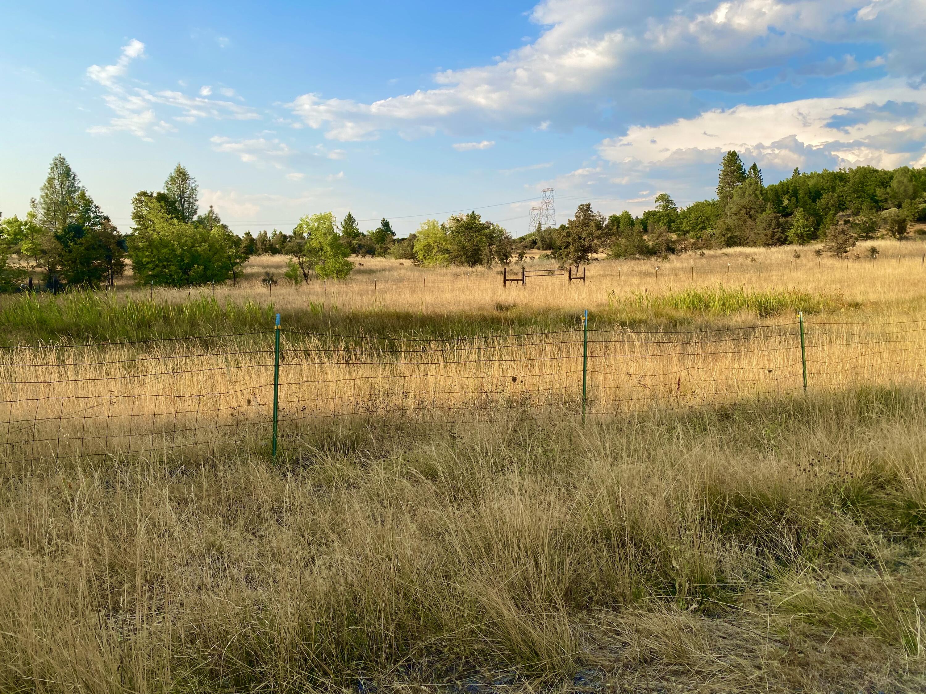 30503 Terry Mill Road Montgomery Creek, CA 96065 - Photo 51 of 75 a view of a lake with houses in the back