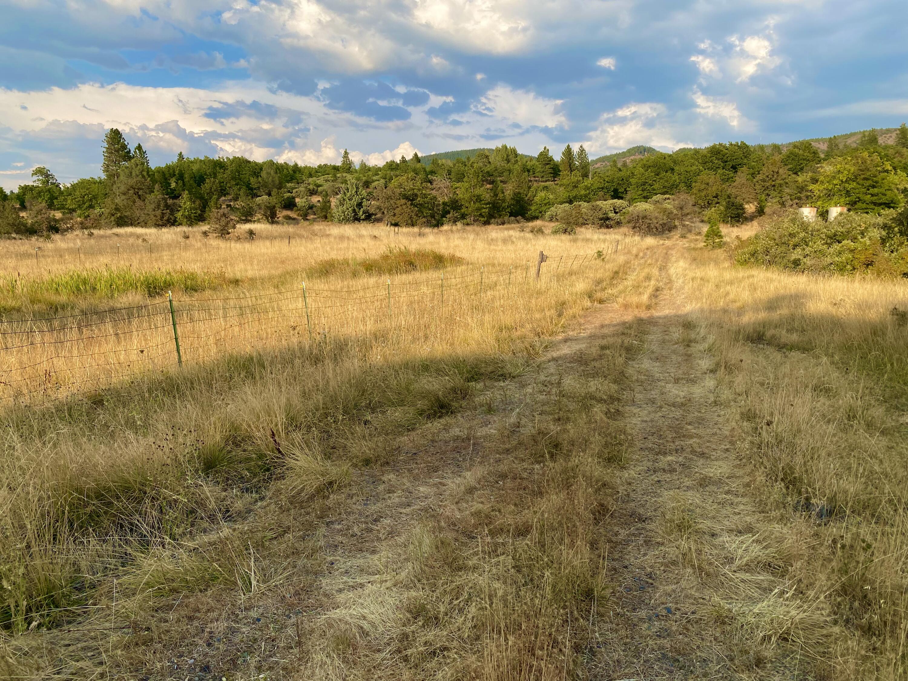 30503 Terry Mill Road Montgomery Creek, CA 96065 - Photo 53 of 75 Property
