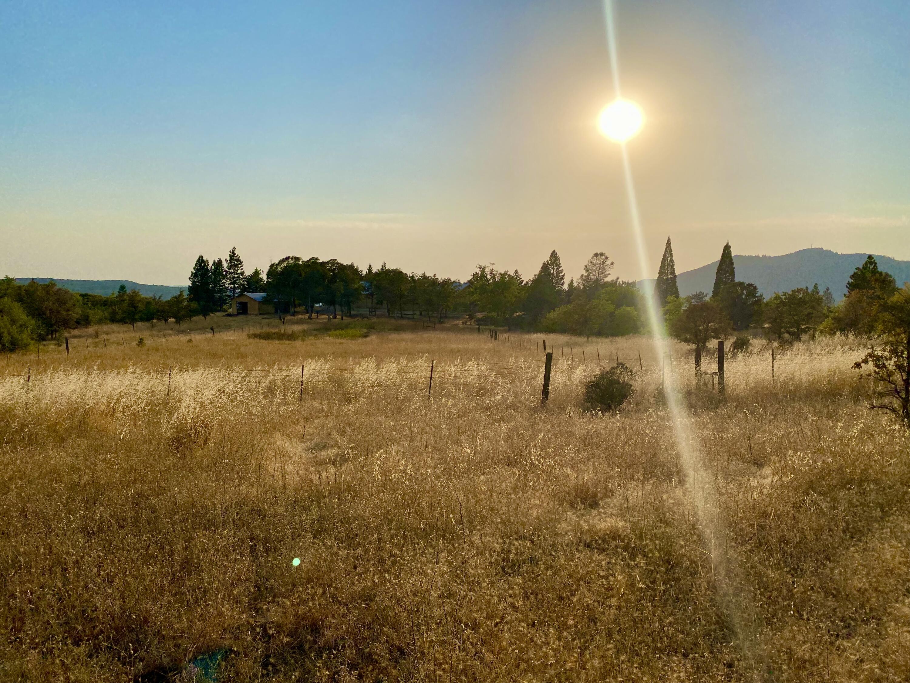 30503 Terry Mill Road Montgomery Creek, CA 96065 - Photo 6 of 75 Views