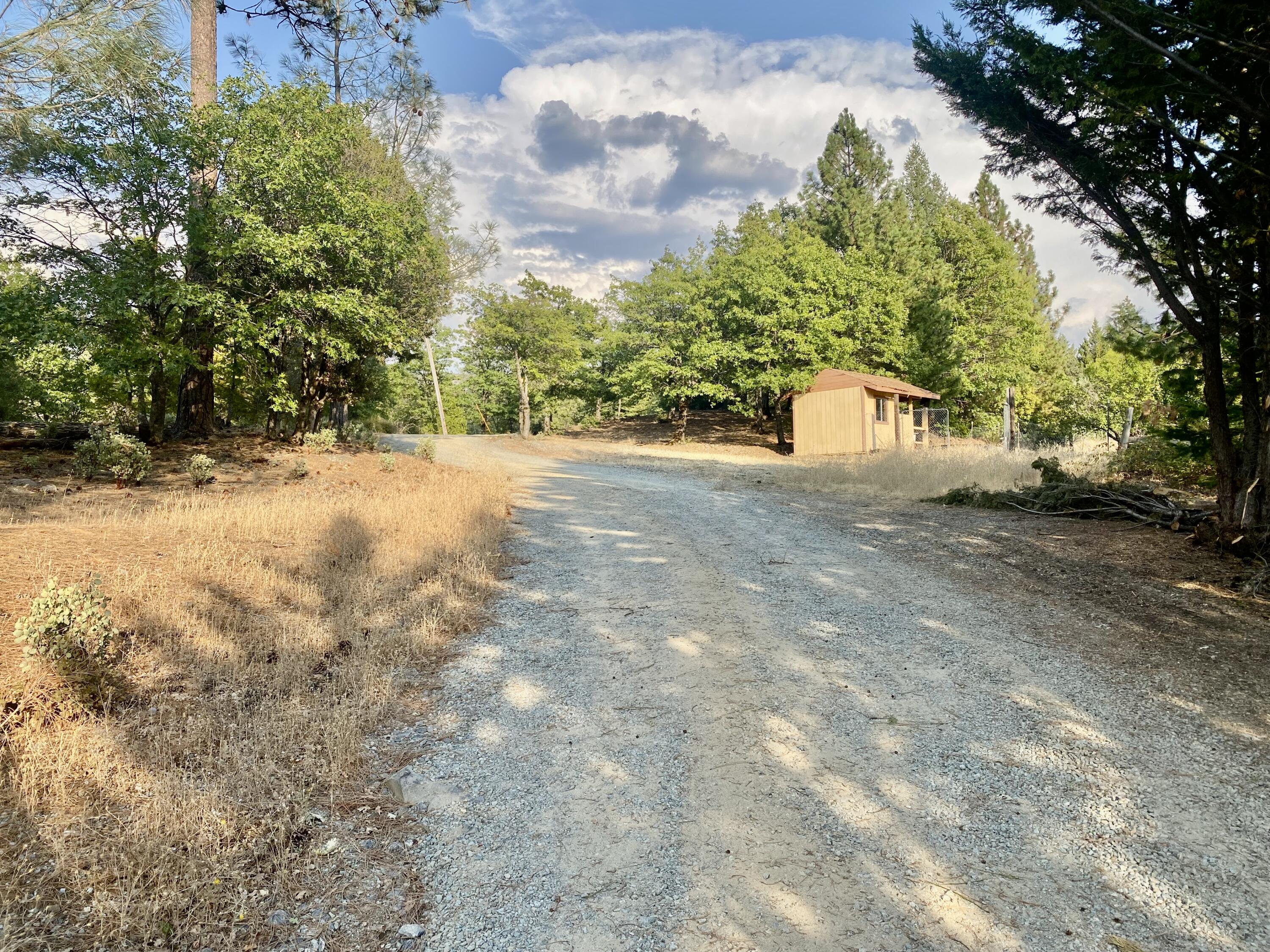 30503 Terry Mill Road Montgomery Creek, CA 96065 - Photo 67 of 75 a view of a yard with a tree