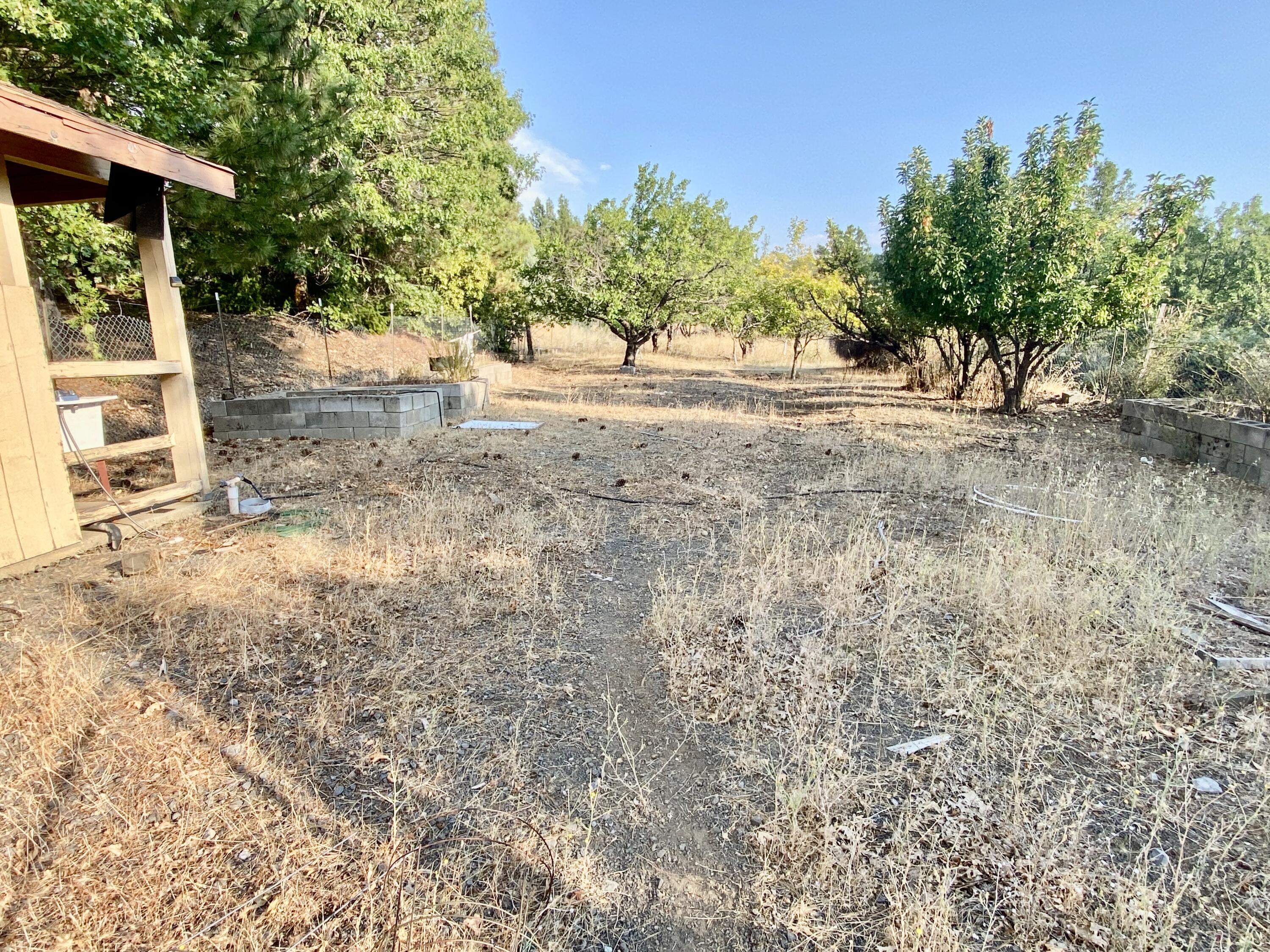 30503 Terry Mill Road Montgomery Creek, CA 96065 - Photo 69 of 75 a view of dirt yard with a trees