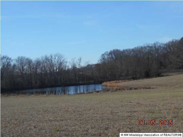 10722 Parks Place Road Como, MS 38619 - Photo 24 of 26 Additional Photo