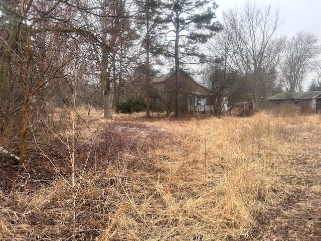7900 South Mulford Road Rochelle, IL 61068 - Photo 2 of 12 a backyard of a house with large trees