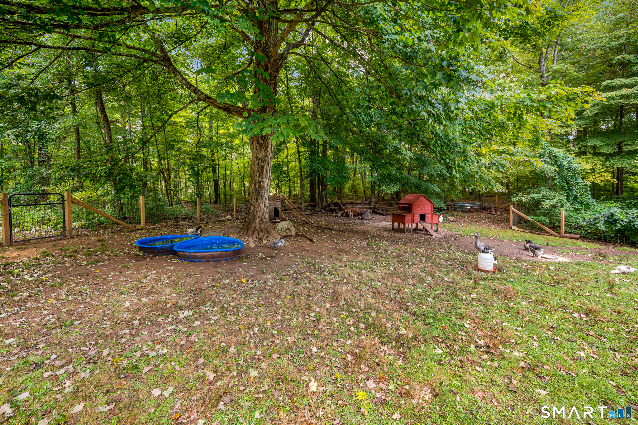36 Nollett Road Chaplin, CT 06250 - Photo 12 of 34 Gallery Image 12