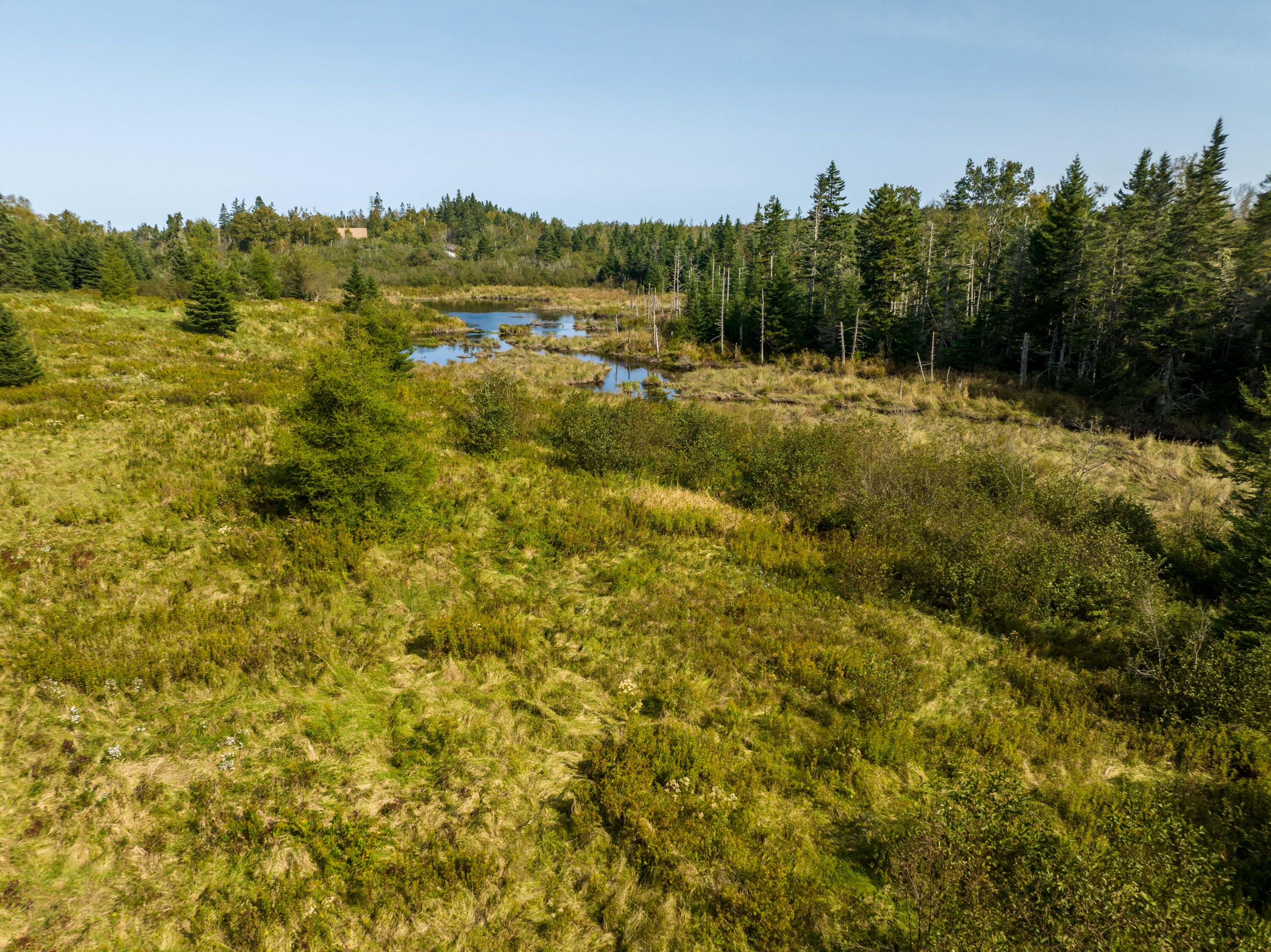 117 Denbow Road Lubec, ME 04652 - Photo 46 of 49 117 Denbow Rd. Lubec (56 of 63)