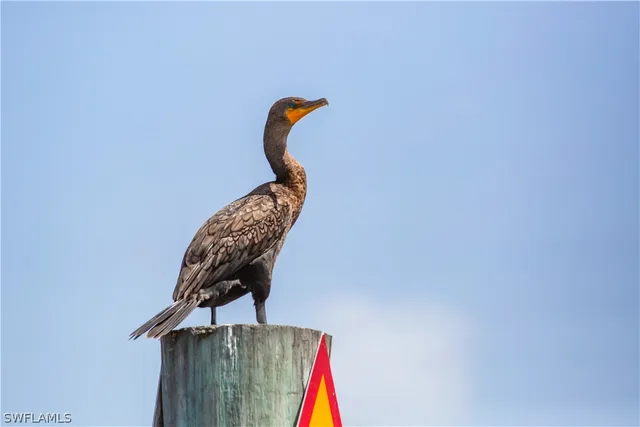 $250,000 | 200 Mourning Dove Drive, Upper Captiva, FL 33924