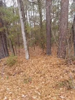 $15,000 | Lot 205 Price Street, Walterboro, SC 29488