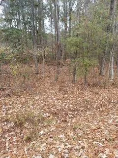 $15,000 | Lot 205 Price Street, Walterboro, SC 29488