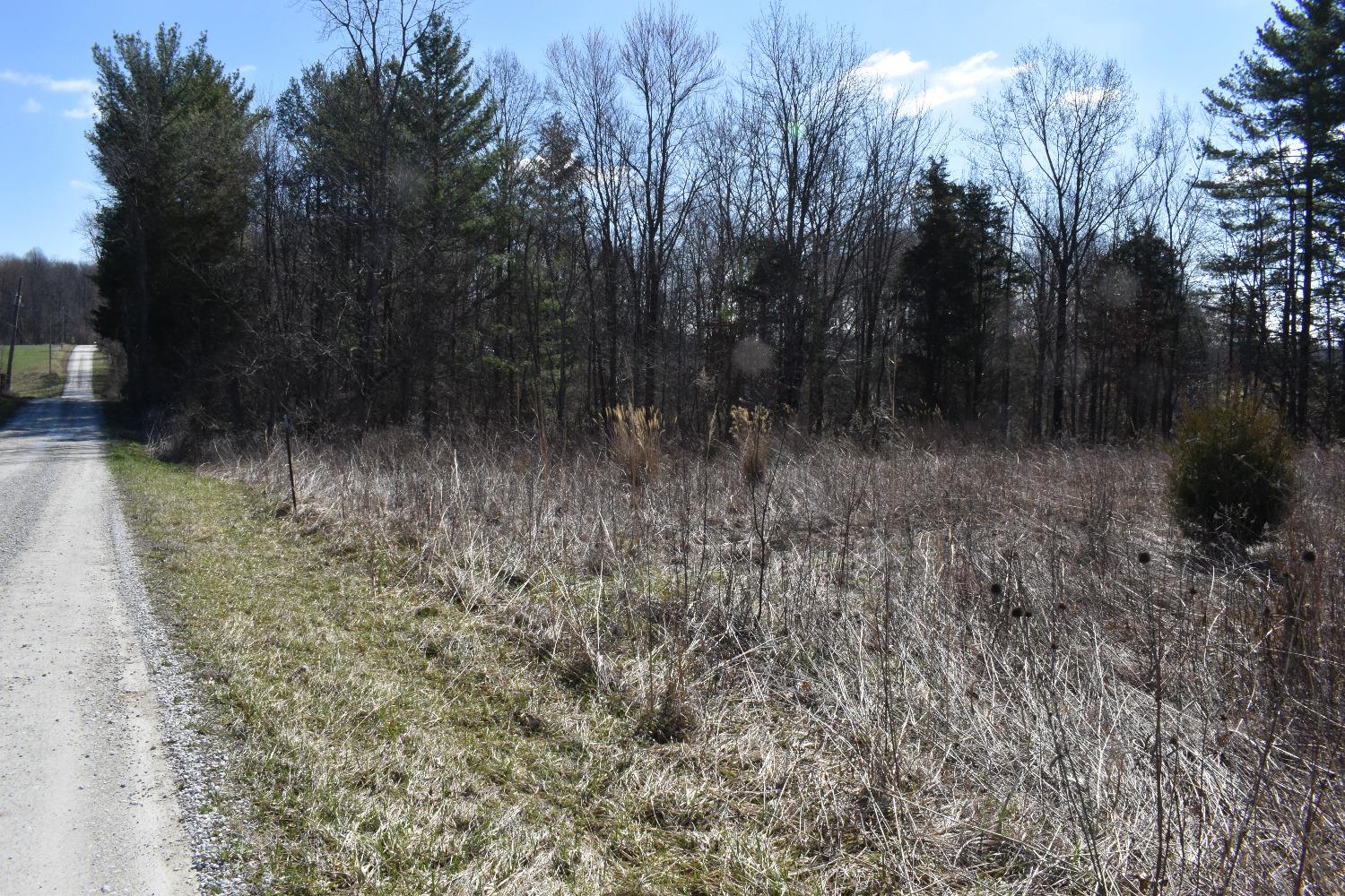 0 Knopf Road Sunman, IN 47041 - Photo 3 of 9