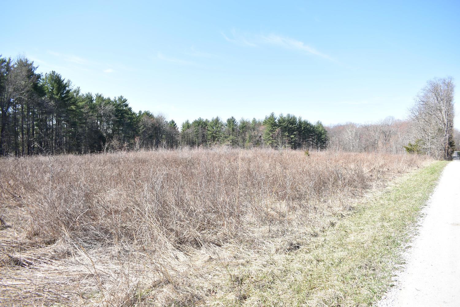 0 Knopf Road Sunman, IN 47041 - Photo 4 of 9