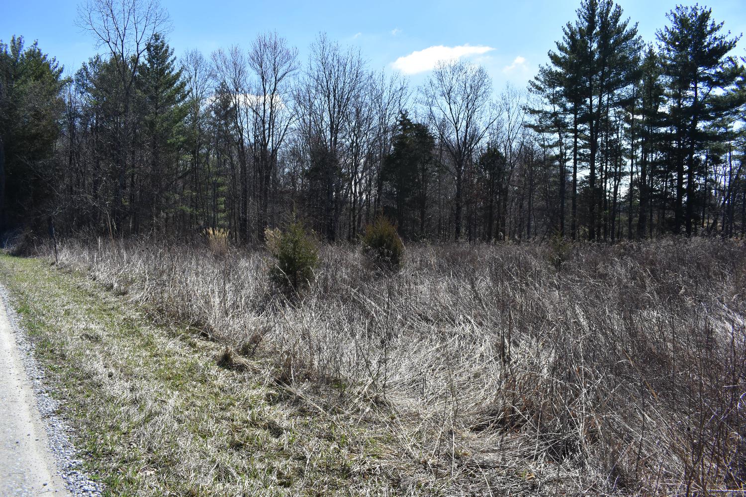 0 Knopf Road Sunman, IN 47041 - Photo 7 of 9