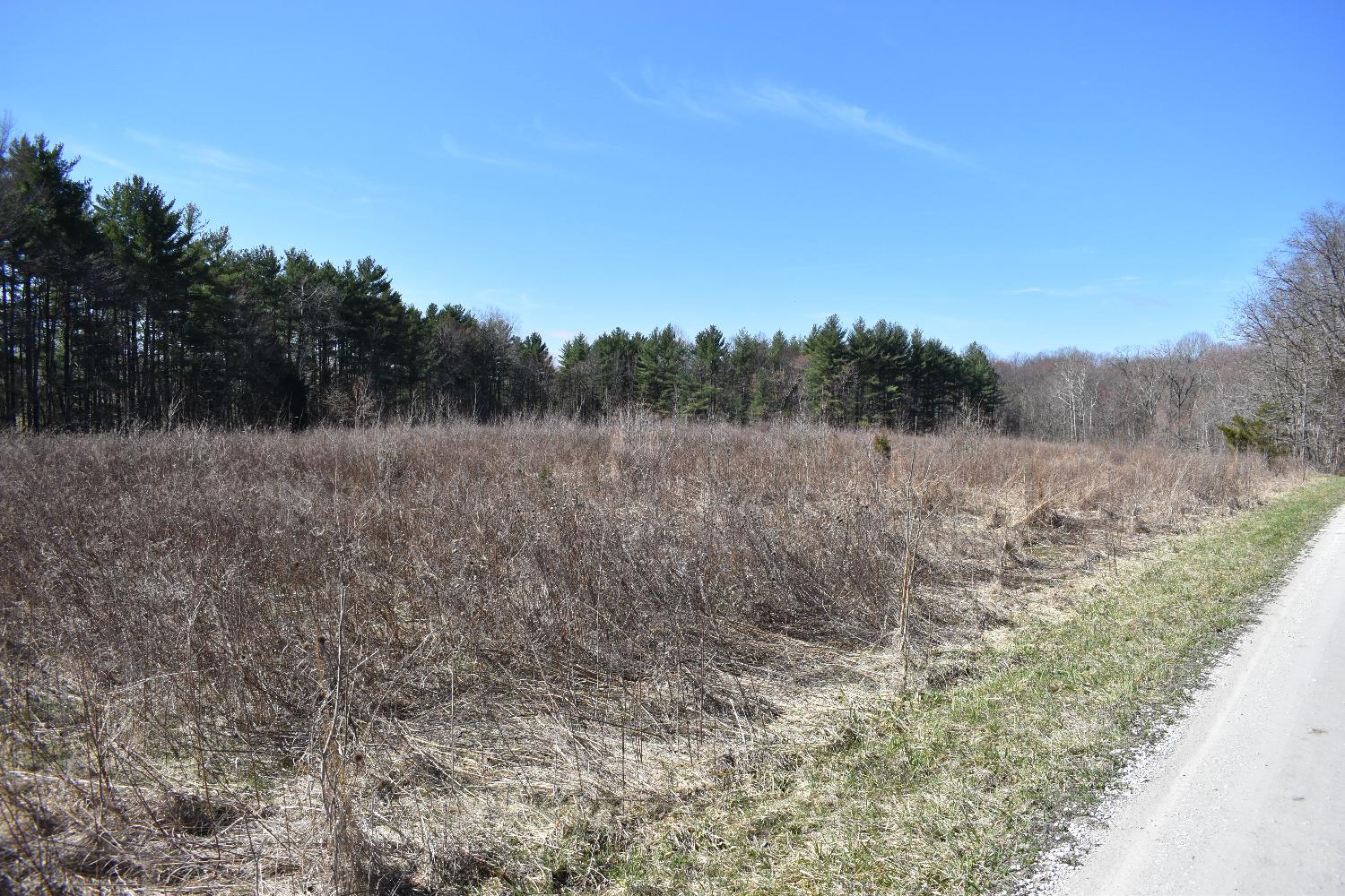 0 Knopf Road Sunman, IN 47041 - Photo 8 of 9