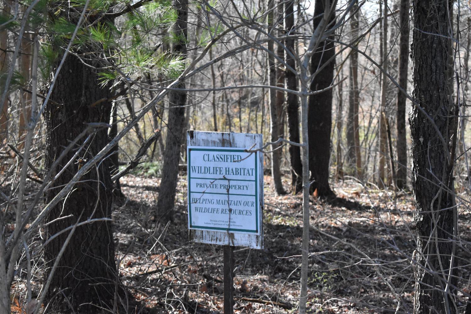 0 Knopf Road Sunman, IN 47041 - Photo 9 of 9