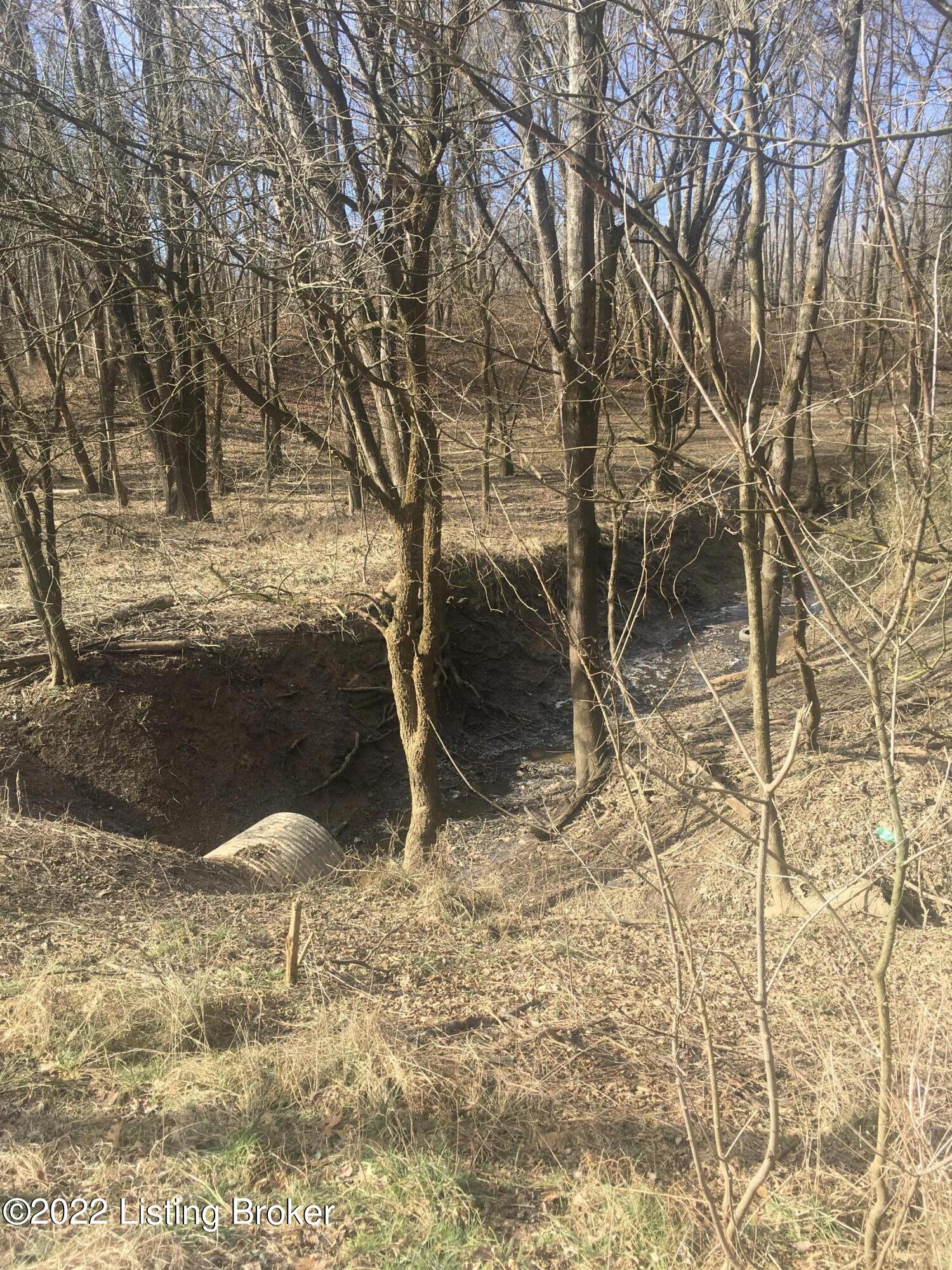 5 Beech Grv Road Shepherdsville, KY 40165 - Photo 4 of 5 land 11