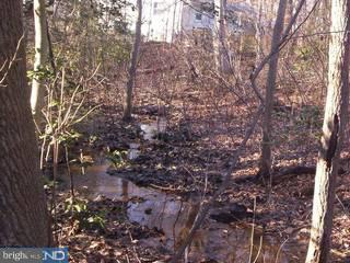 100 Eachus Road Mullica Hill, NJ 08062 - Photo 6 of 6