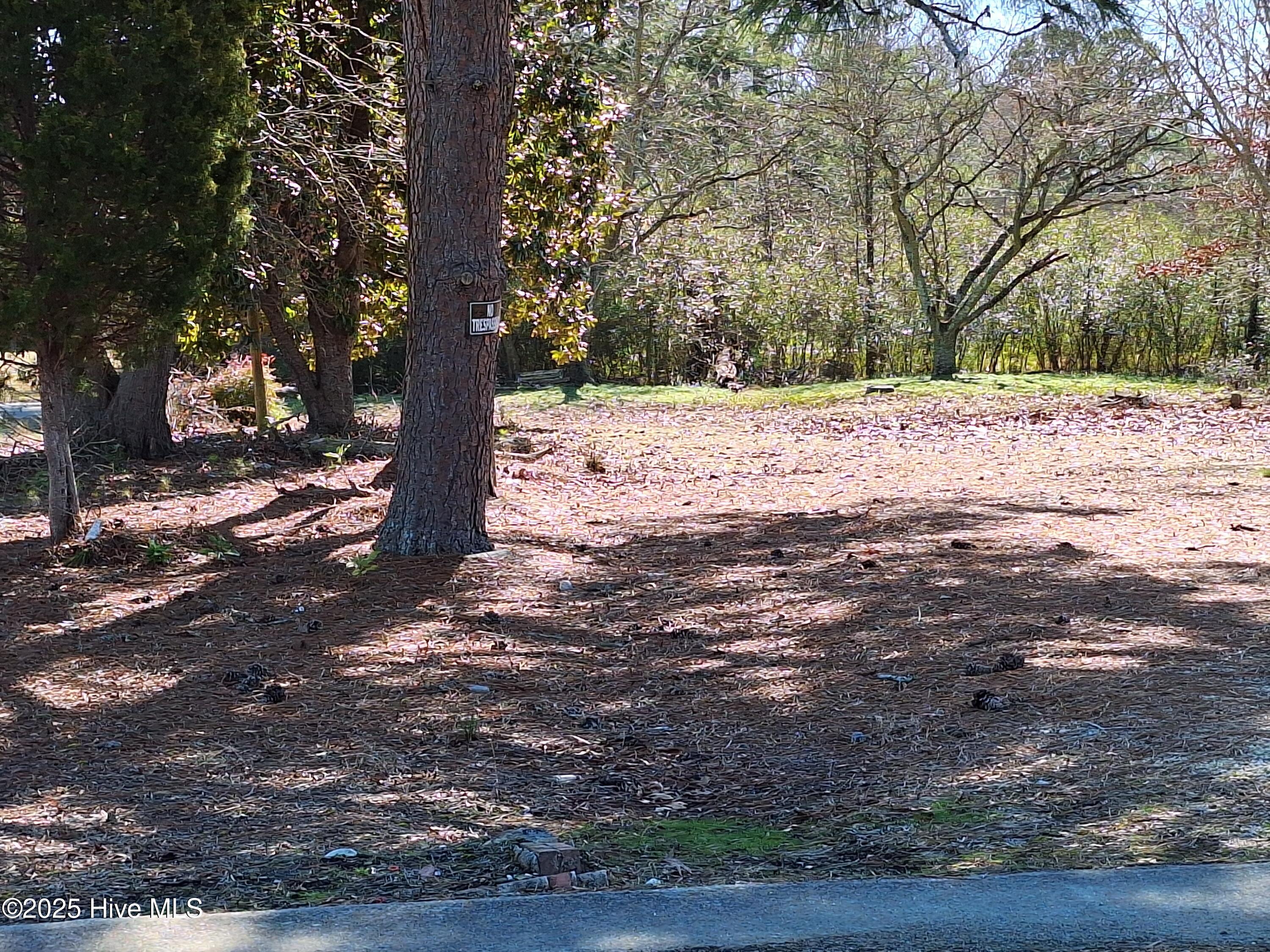 Tbd Roberts Road Rich Square, NC 27869 - Photo 4 of 5 4