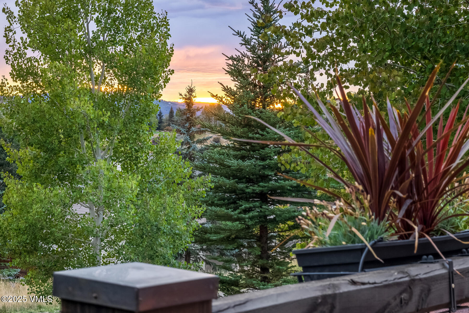 2310 Old Trail Road, Unit A Avon, CO 81620 - Photo 17 of 36 a backyard of a house with lots of green space