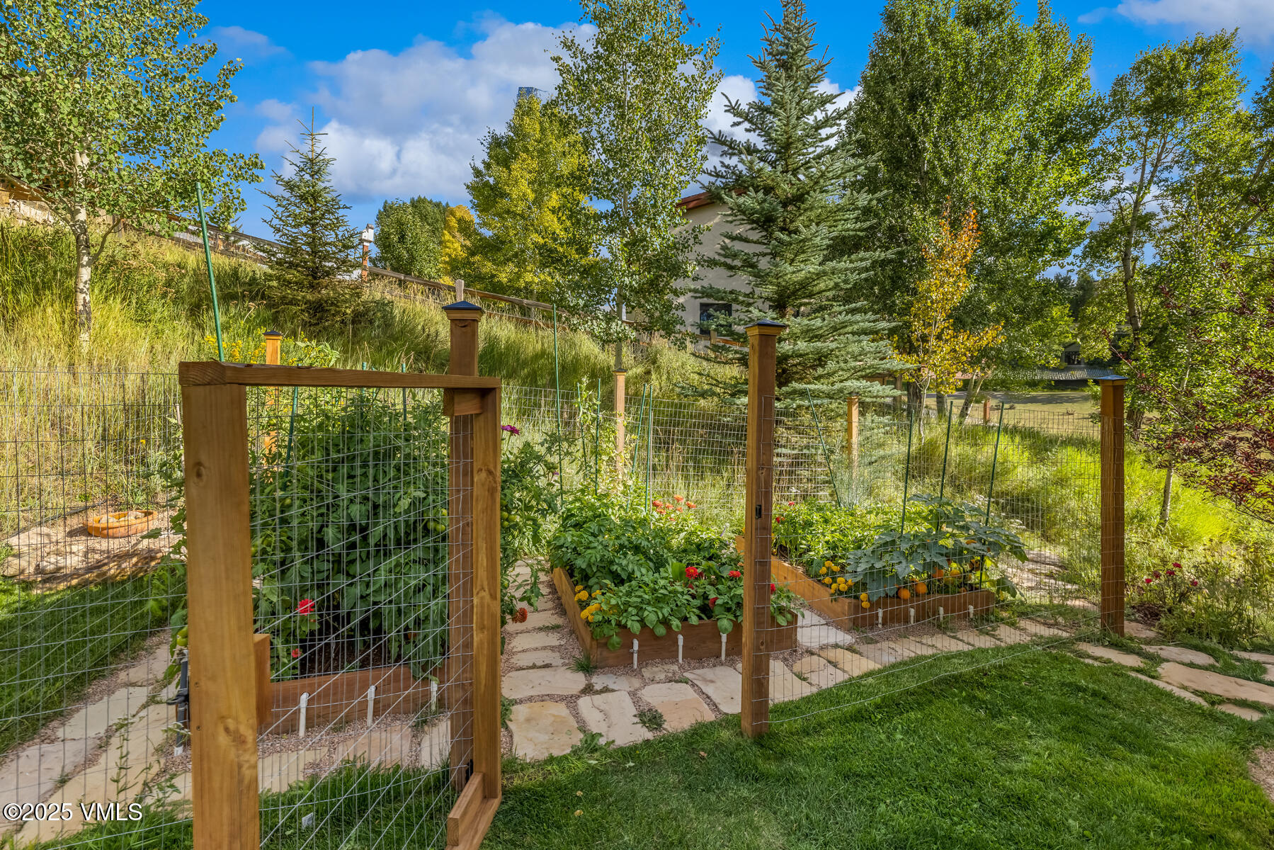 2310 Old Trail Road, Unit A Avon, CO 81620 - Photo 23 of 36 a view of a garden