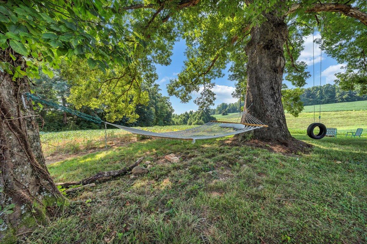 988 Timber Line Road Ferrum, VA 24088 - Photo 27 of 34 a view of outdoor space with deck and green space