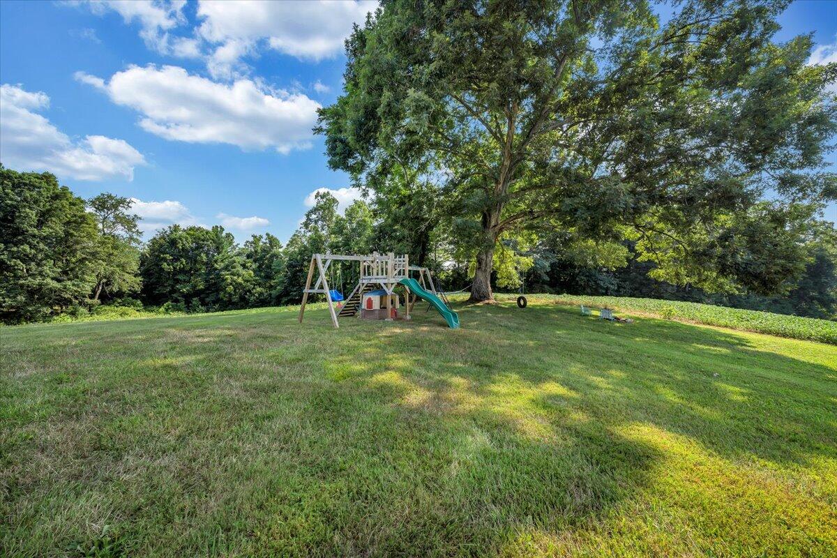988 Timber Line Road Ferrum, VA 24088 - Photo 28 of 34 a view of a park with large trees