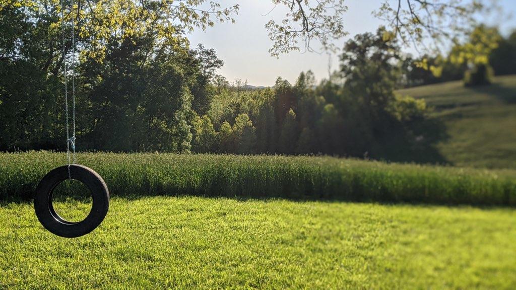 988 Timber Line Road Ferrum, VA 24088 - Photo 5 of 34 a backyard of a house with lots of green space