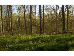 2790 Pointe Cove Road Bloomington, IN 47401 - Photo 1 of 1 Gallery Image 1