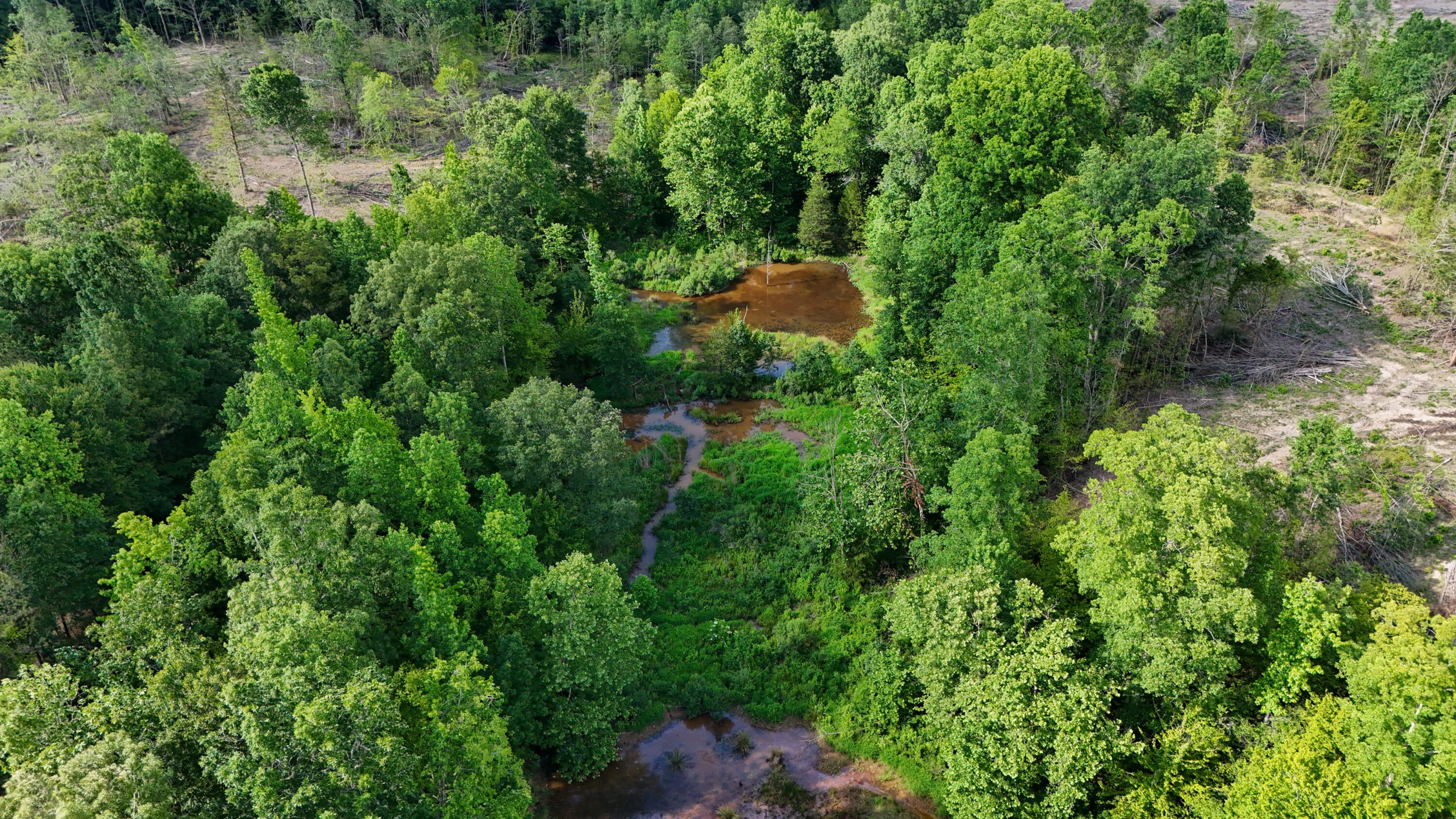 2 Hohenlinden Road Mantee, MS 39751 - Photo 50 of 68 Gallery Image 50